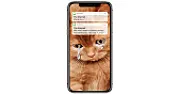 The Internet Apologizes ... [telecom]  | next thread &raquo;