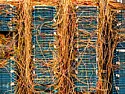 Verizon to Discontinue Copper in Heavily Populated Areas of the Northeast [telecom]  |  Written by Edward Gately Verizon has asked the Federal Communications Commission...