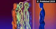 Would You Let the Police Search Your Phone? [telecom]  |  We are much more likely to give consent than we think. By Roseanna Sommers and...
