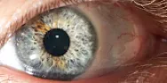 Apple Has Quietly Started Tracking iPhone Users Again [telecom]  |  Apple Has Quietly Started Tracking iPhone Users Again, And It's Tricky To...