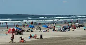 Wildwood whale-watching business sues Verizon over lost phone number [telecom]  | next thread &raquo;