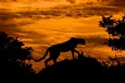 Please contribute to keeping Wikipedia free of ads [telecom] |  On Thu, 24 Nov 2011 12:03:39 -0800, John David Galt said, in Message-ID::No,...