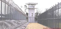 Suspicious tower sniffing  |  Nope.  Even analog cell phones (AMPS) would hop frequencies every few seconds. ...