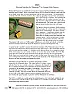 Soil moisture sensors |  I'm trying to use a Watermark soil moisture sensor in the my home...