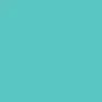 2924 XL terminal port not talking |  We are a small non-profit college that had a WS-C2924C-XL-EN donatedto us. I am...