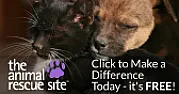 Re: Digest New Sponsorship |  Awsome. Very nice experience to go to a telecom website and instantly see a...