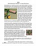 Soil moisture sensors