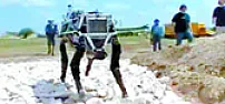 Technologies of the Future  [telecom] |  The Phila Inqr had an interesting article on technologies to watch forthe...