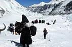 Mt. Everest internet  | next thread &raquo;