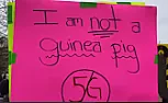 Infuriated parents to protest cell tower placement at Wyandotte  elementary school [telecom] |  WYANDOTTE (WWJ) - A group of concerned Downriver parents are gathering Friday...