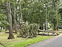 With almost 100,000 customers still without power, PSEG says 'nearly  all' will be restored by Sunday evening [telecom]  |  By Denise Civiletti PSEG-Long Island says it has restored service to 75% of the...