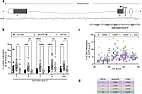 Mild internet use is associated with epigenetic alterations... | &laquo; previous thread