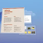 ZoneAlarm no longer supports Win98SE...what to do? | &laquo; previous thread