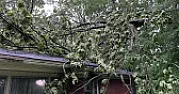 TN: 100K without power in Nashville [telecom]  |  Strong storms down trees and power lines across the mid-state; 100K without...