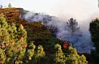 Fire nearby - Best freeware Police/Fire Scanner (which do YOU use?)  |  It's close enough to see the red glow, even now, in the dark, and the...