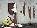 Peeled Up door- anybody got a picture |  For the second time in 18 years I have run into someone who had the back...