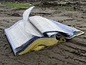 More on abandonment of telephone directories [telecom] |  There are two additional yellow page directories in the Oklahoma Cityarea...