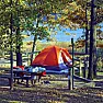 Advertised claims for "multi-polarized" antenna |  Sorta, kinda, maybe, etc.  As with anything concerning RF, it's notvery...