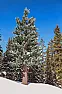 Equipment trouble hampers AT&T cell service in Vail, other valley areas [telecom]  |  By Scott Miller EAGLE COUNTY - If you're an AT&T customer, then you may have...